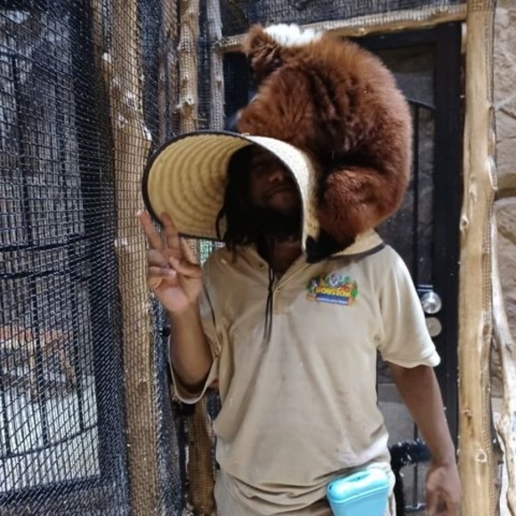 Meet your Posher, Herbert - Picture 1 of 1